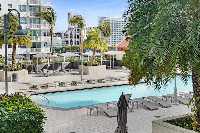 view of swimming pool featuring a patio area