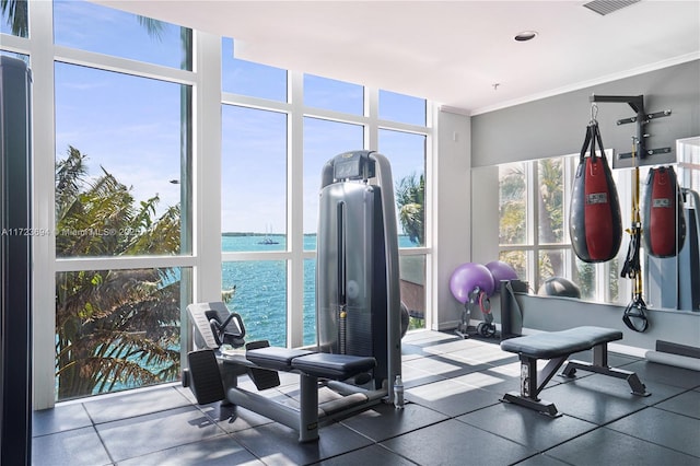 gym with ornamental molding, a water view, and a wall of windows