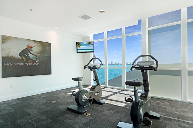 workout room featuring ornamental molding and floor to ceiling windows