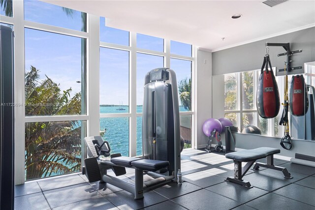1155 Brickell Bay Dr Unit 704, Miami, FL 33131 - workout area featuring a water view, a wall of windows, and ornamental molding