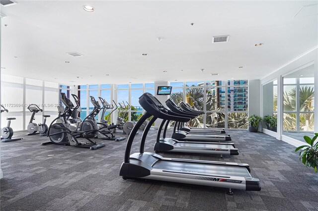 1155 Brickell Bay Dr Unit 704, Miami, FL 33131 - gym featuring carpet floors, plenty of natural light, recessed lighting, and expansive windows