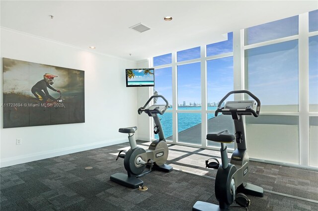 1155 Brickell Bay Dr Unit 704, Miami, FL 33131 - exercise area featuring expansive windows, ornamental molding, carpet flooring, and baseboards