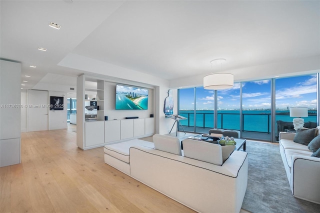 living room featuring light hardwood / wood-style flooring