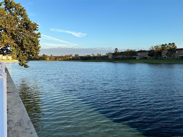 view of water feature