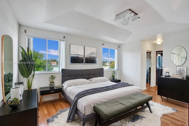 bedroom featuring a raised ceiling, a closet, a walk in closet, and light hardwood / wood-style flooring