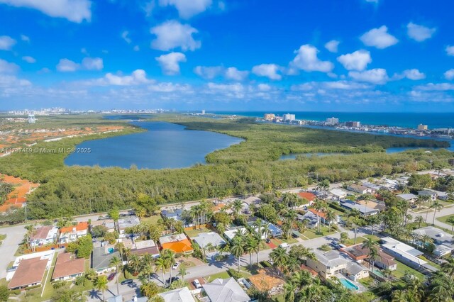 951 Buchanan St, Hollywood, FL 33019 - photo 58