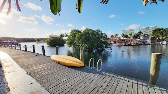 dock area with a water view