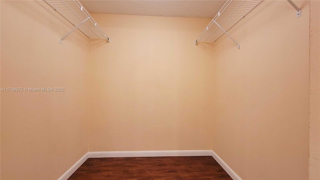 spacious closet featuring hardwood / wood-style flooring