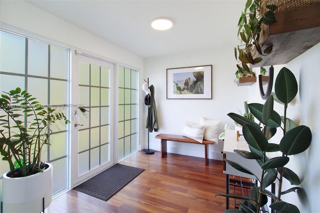 foyer featuring dark hardwood / wood-style floors