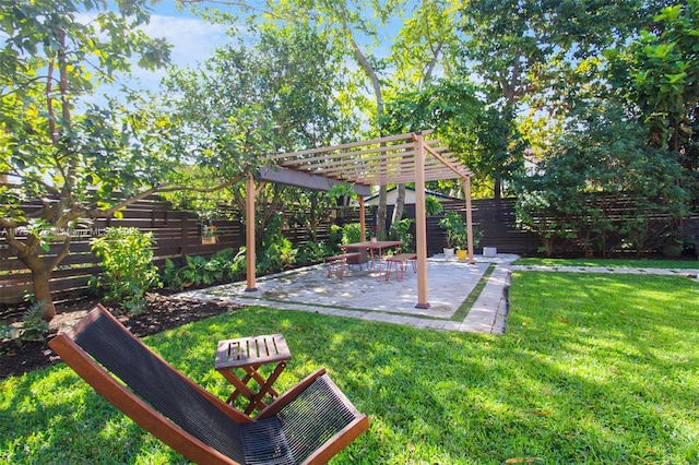 view of yard featuring a patio area and a pergola