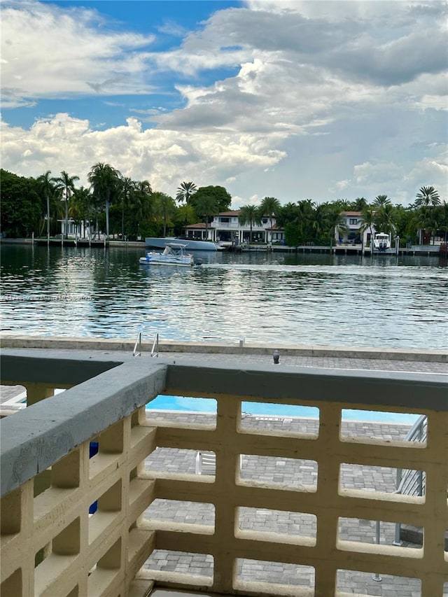 dock area with a water view