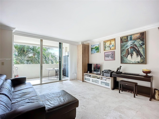 living room with ornamental molding