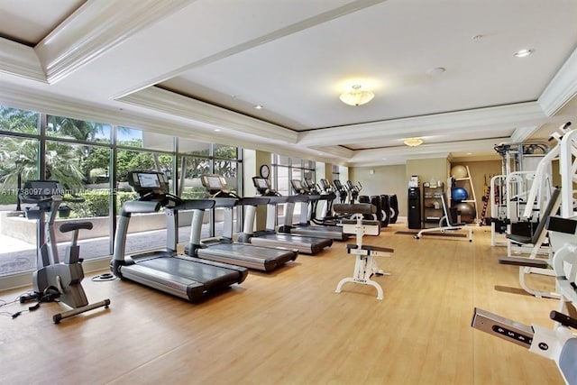 exercise room with a tray ceiling, wood-type flooring, and ornamental molding