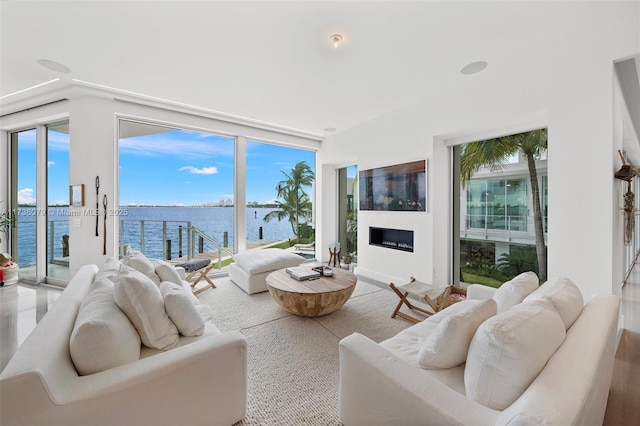 living room featuring a wealth of natural light