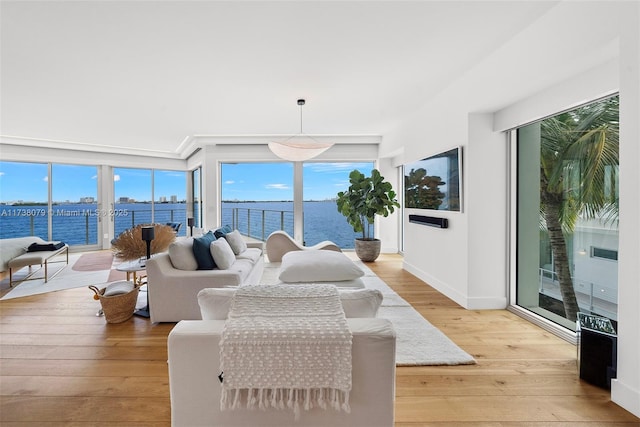 living room featuring a water view and light hardwood / wood-style floors