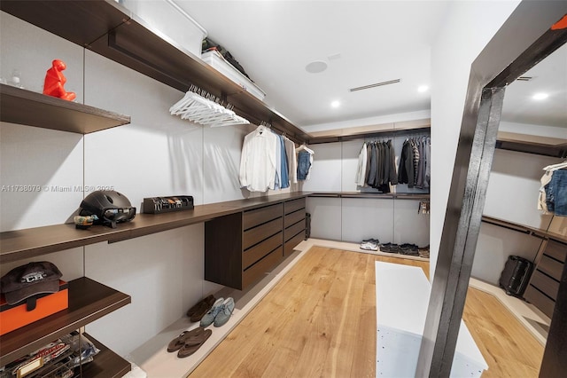 view of walk in closet