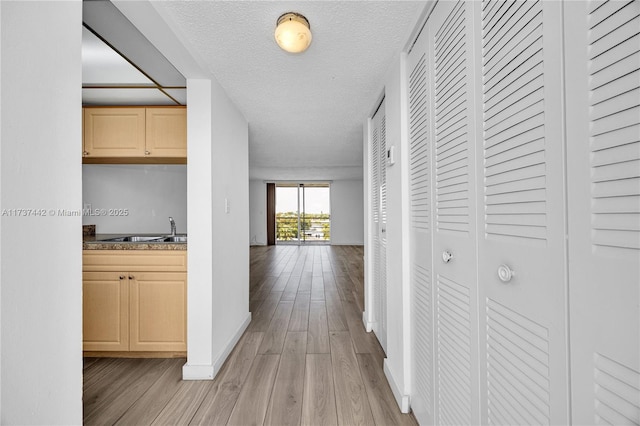 hall featuring sink, a textured ceiling, and light wood-type flooring