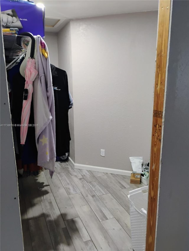 spacious closet featuring light hardwood / wood-style flooring