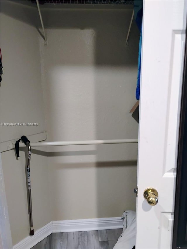 spacious closet with wood-type flooring