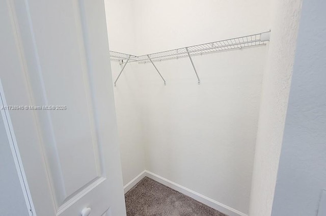 walk in closet featuring carpet