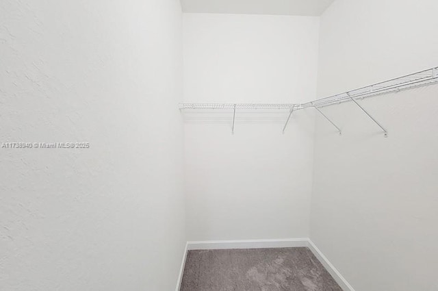 walk in closet with carpet