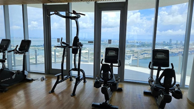 gym with a water view, hardwood / wood-style floors, and a wall of windows