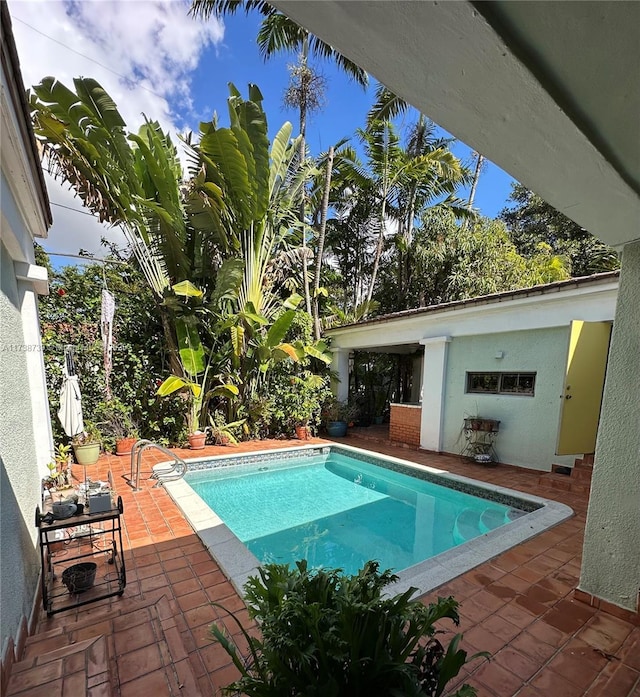 view of swimming pool featuring a patio area