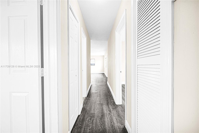 hallway with dark hardwood / wood-style flooring