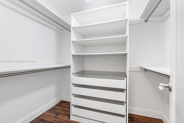 walk in closet featuring dark hardwood / wood-style floors