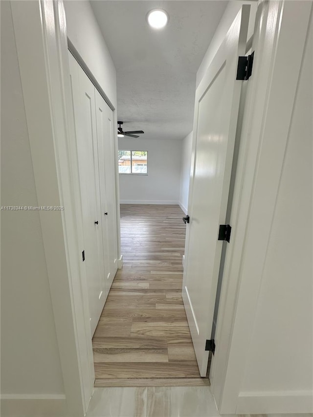 corridor featuring light hardwood / wood-style floors