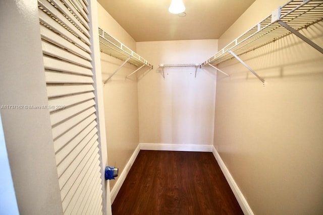 walk in closet featuring wood-type flooring