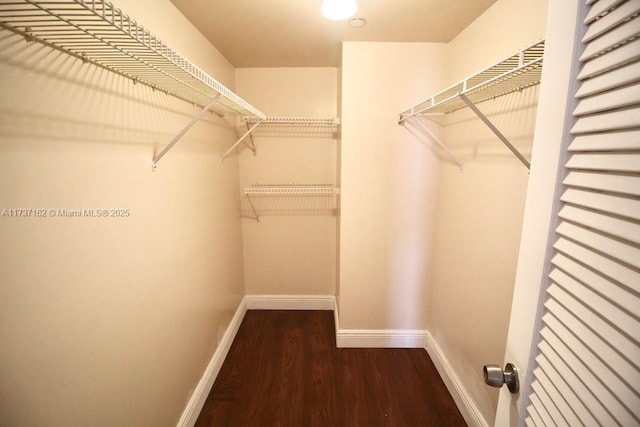 spacious closet with dark wood-type flooring