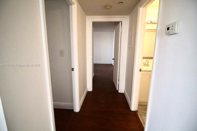 corridor featuring sink and dark wood-type flooring