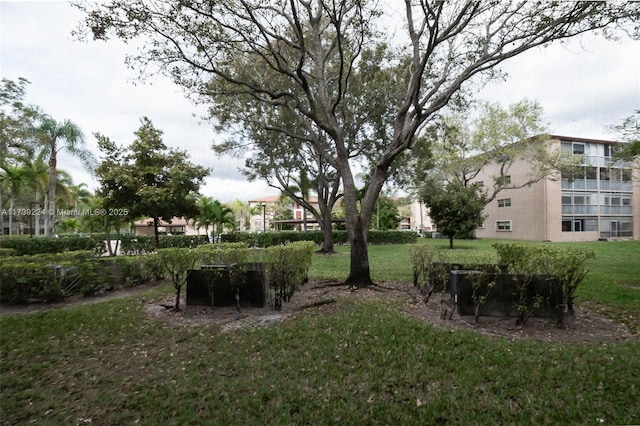 view of yard