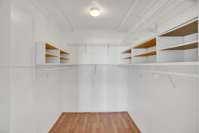 walk in closet with hardwood / wood-style flooring