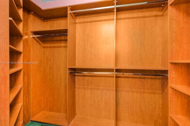 walk in closet featuring elevator