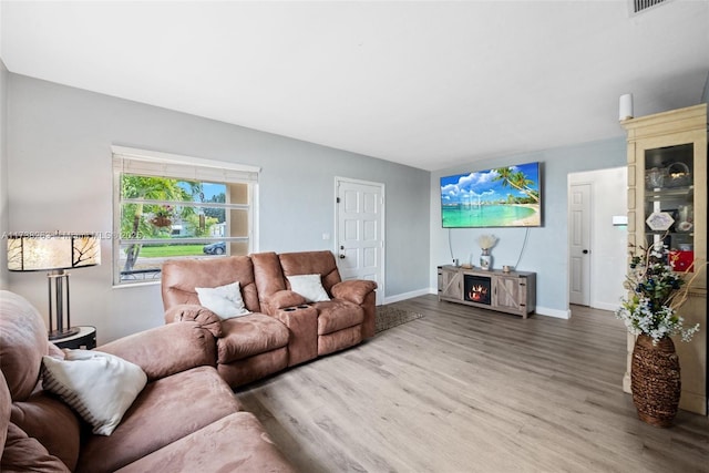 living room with hardwood / wood-style flooring