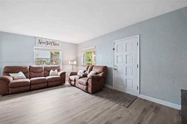 living room with wood-type flooring