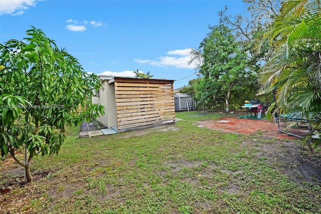 view of yard featuring a storage unit