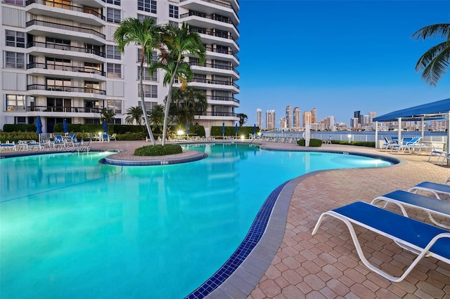 view of swimming pool