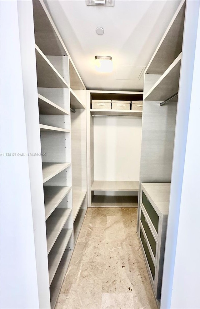 view of spacious closet