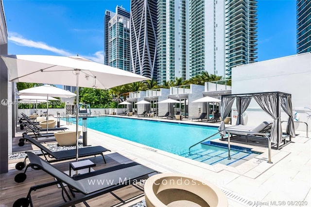 view of pool featuring a patio