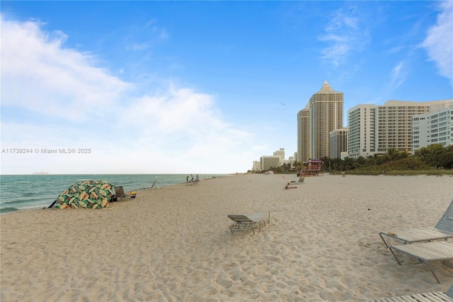 property view of water featuring a beach view