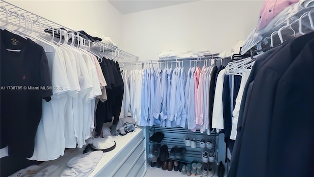 view of spacious closet