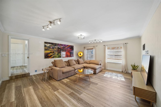 living room featuring rail lighting, light wood-style flooring, ornamental molding, and baseboards