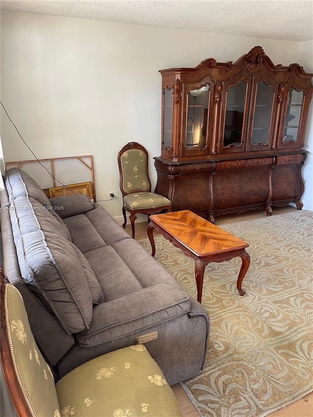 living room with a textured ceiling