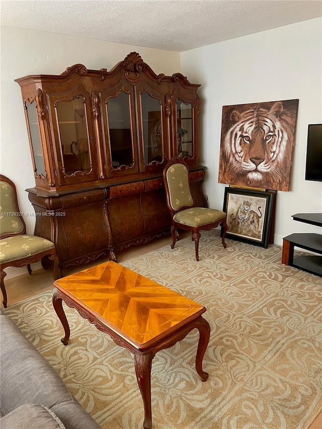 sitting room featuring light colored carpet and a textured ceiling