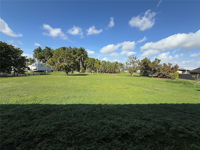 view of yard