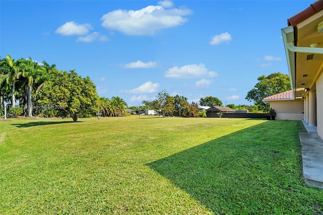 view of yard