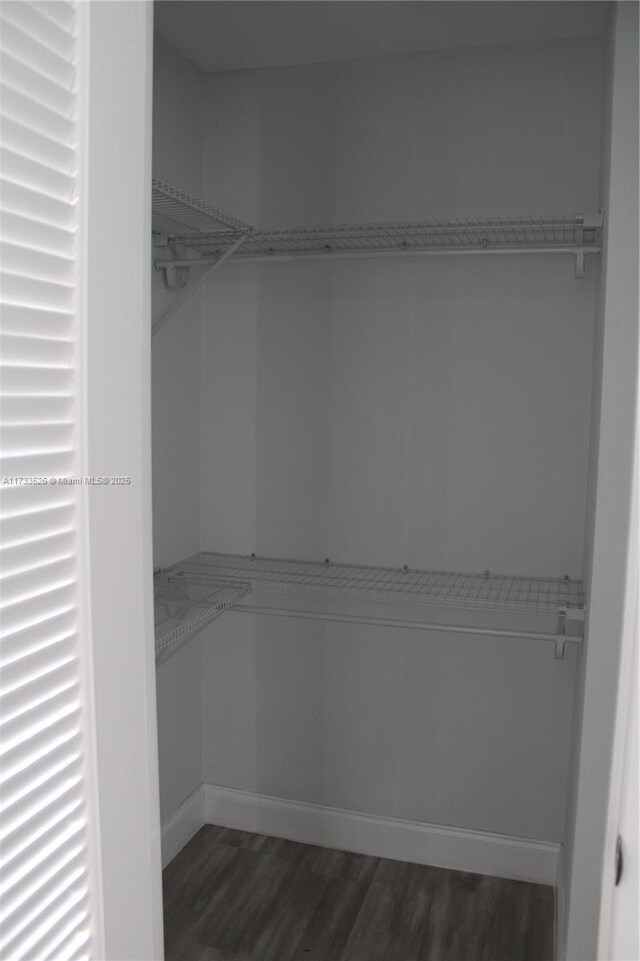 spacious closet with dark wood-type flooring